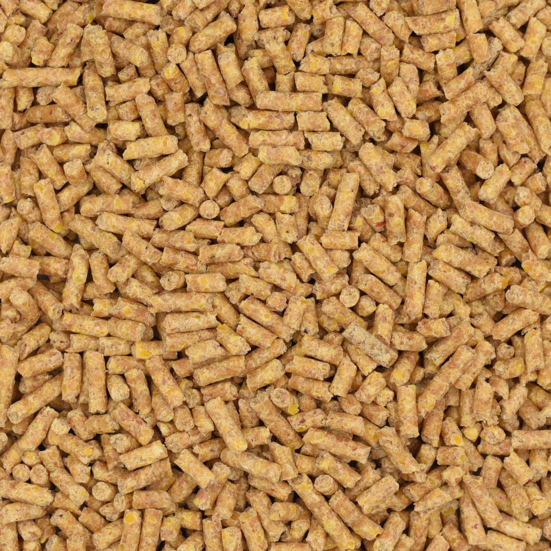 broiler pellet feed